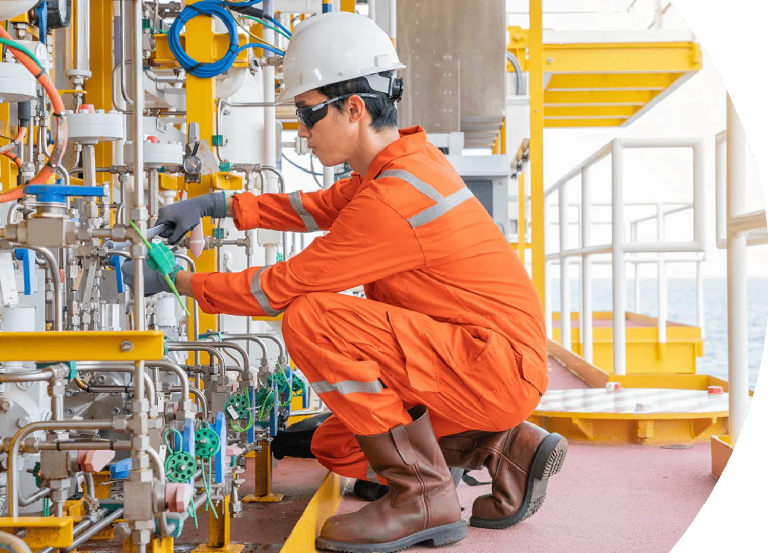 Plant Maintenance (6)